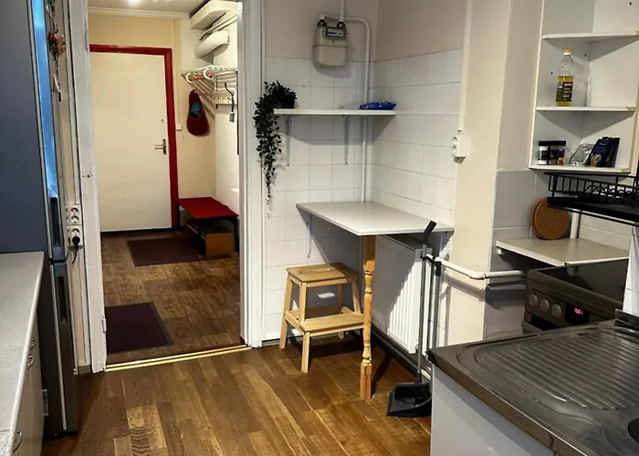 Family Near Kadriorg Swan Pond Tallinn